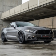 Barracuda cardiologie Mustang