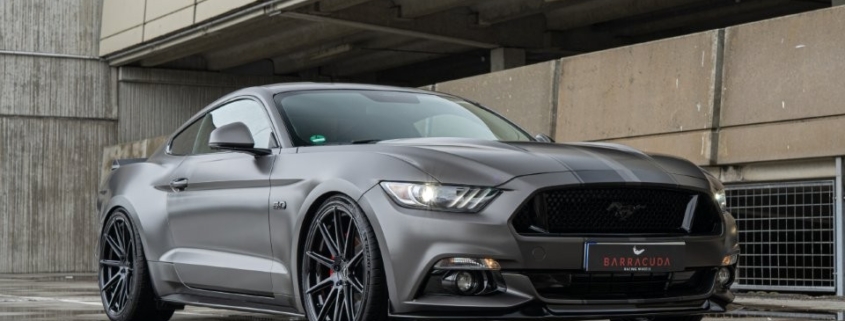 Barracuda cardiologie Mustang